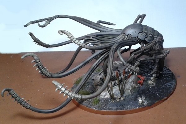 Kraken 5 at
